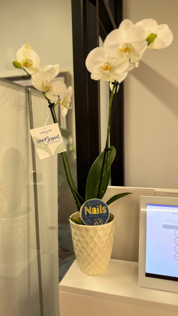 Salon Welcome View Asset